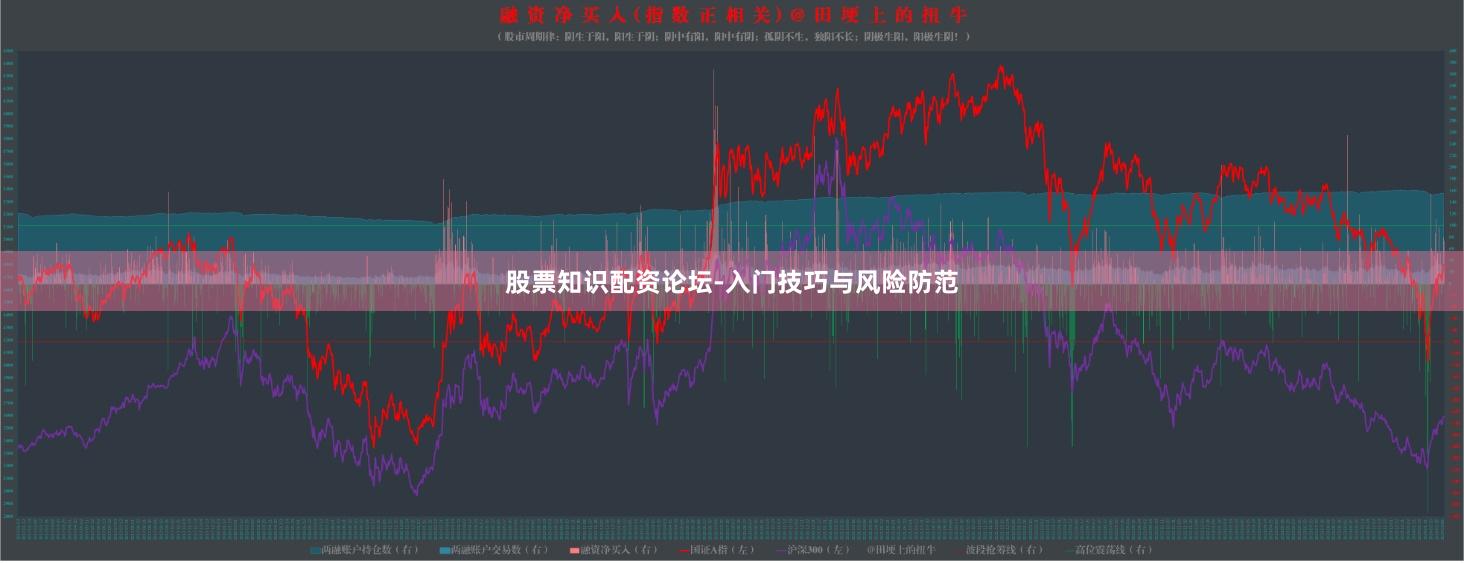 股票知识配资论坛-入门技巧与风险防范